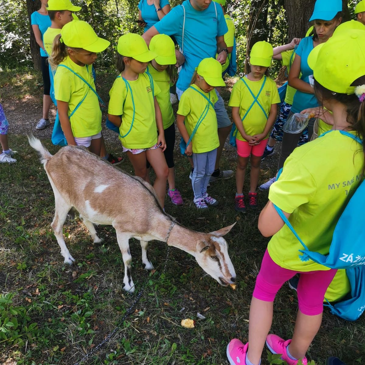 Múzejníci v prírode