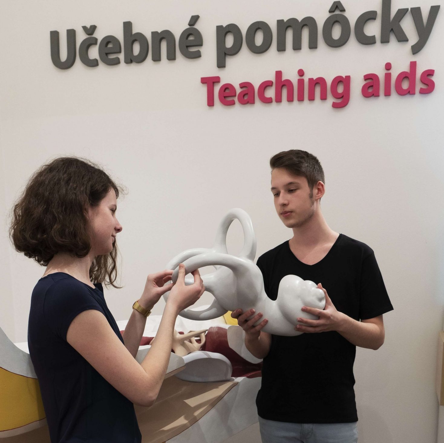 Múzeum špeciálneho školstva Lektori v priestore Múzea špeciálneho školstva v Levoči v miestnosti venovanej učebným pomôckam. Stoja pri modely ucha.