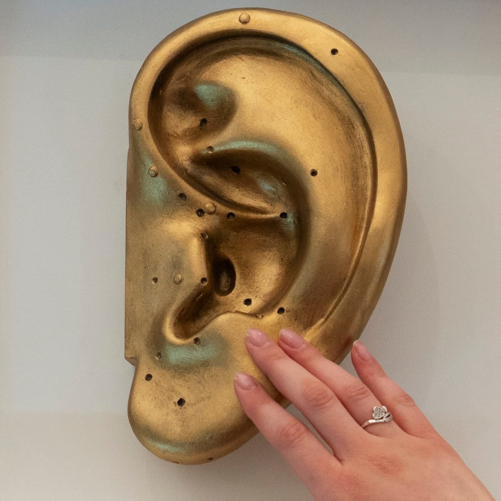 Model ucha s akupunktúrnymi bodmi a dráhami.