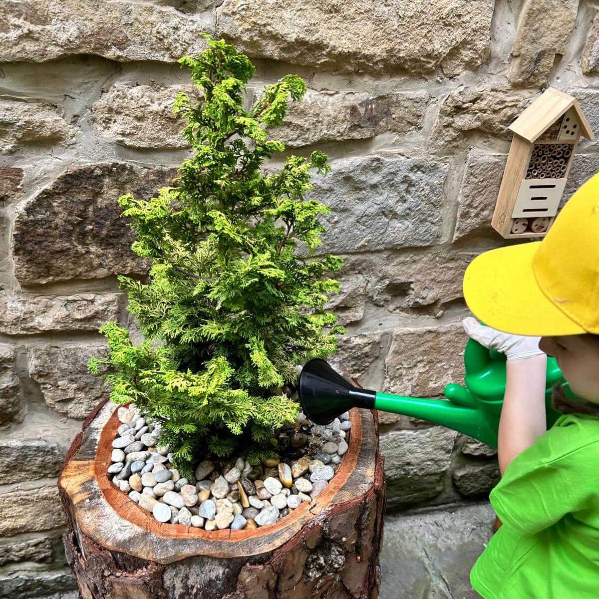 Ekomúzejníci v akcii Ekomúzejníci v akcii. Ekomúzejníčka polieva strom.