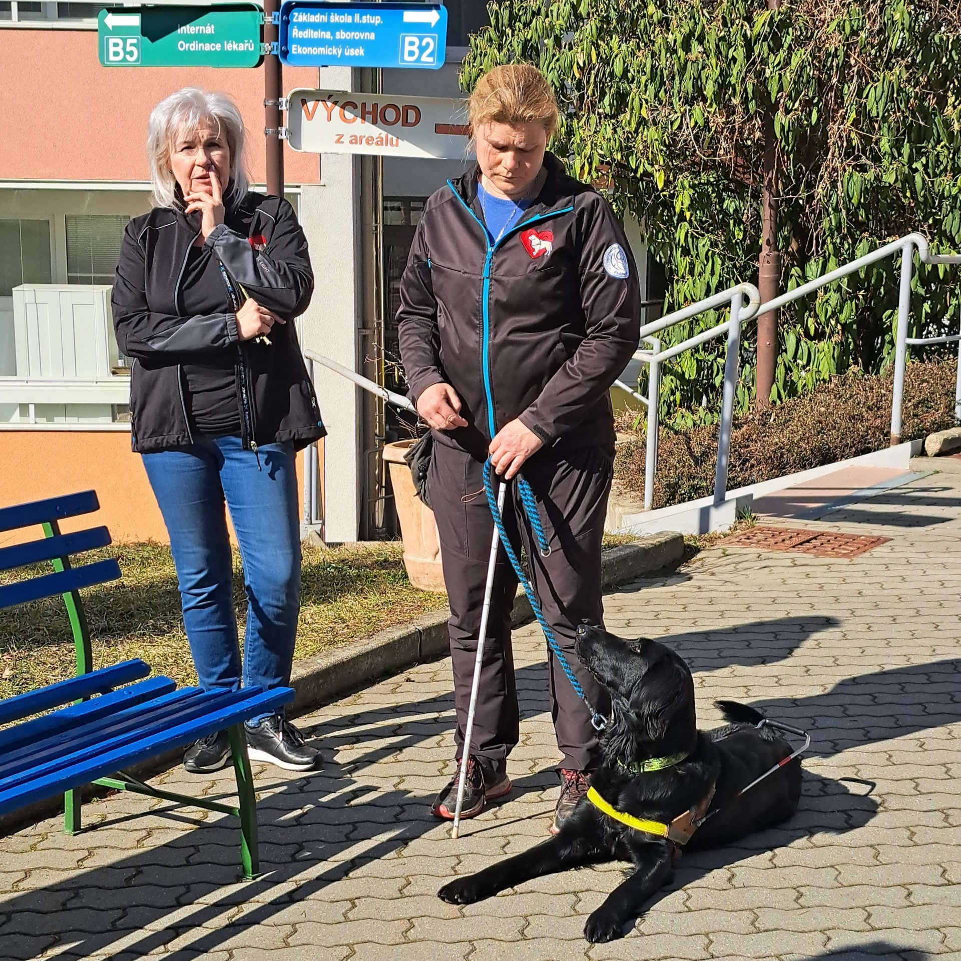 Pani s vodiacim psom.