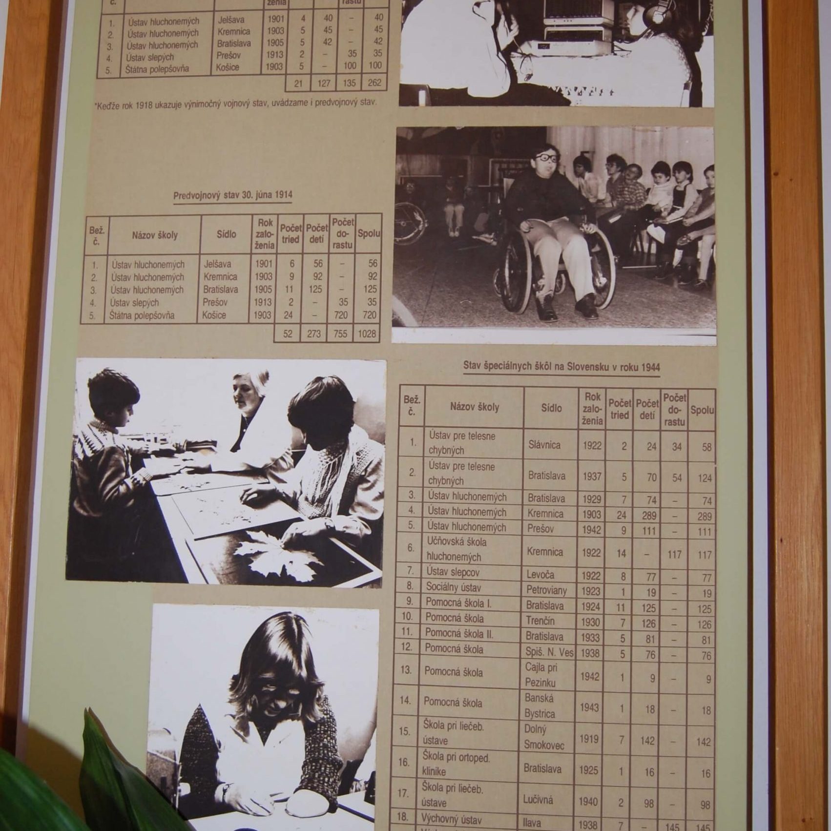 Štatistika špeciálnych škôl v roku 1918, Predvojnový stav rok 1914 a v roku 1944