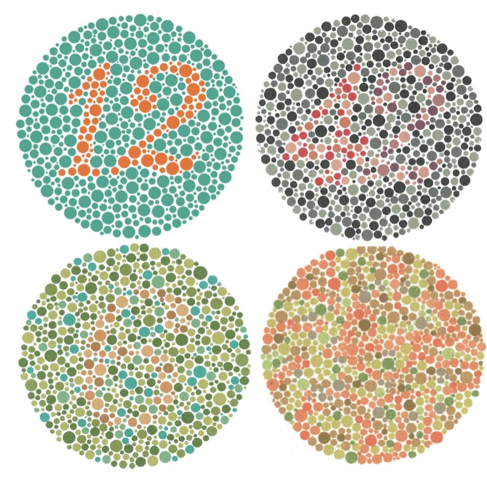 Ishiharov test. Ishiharov test.