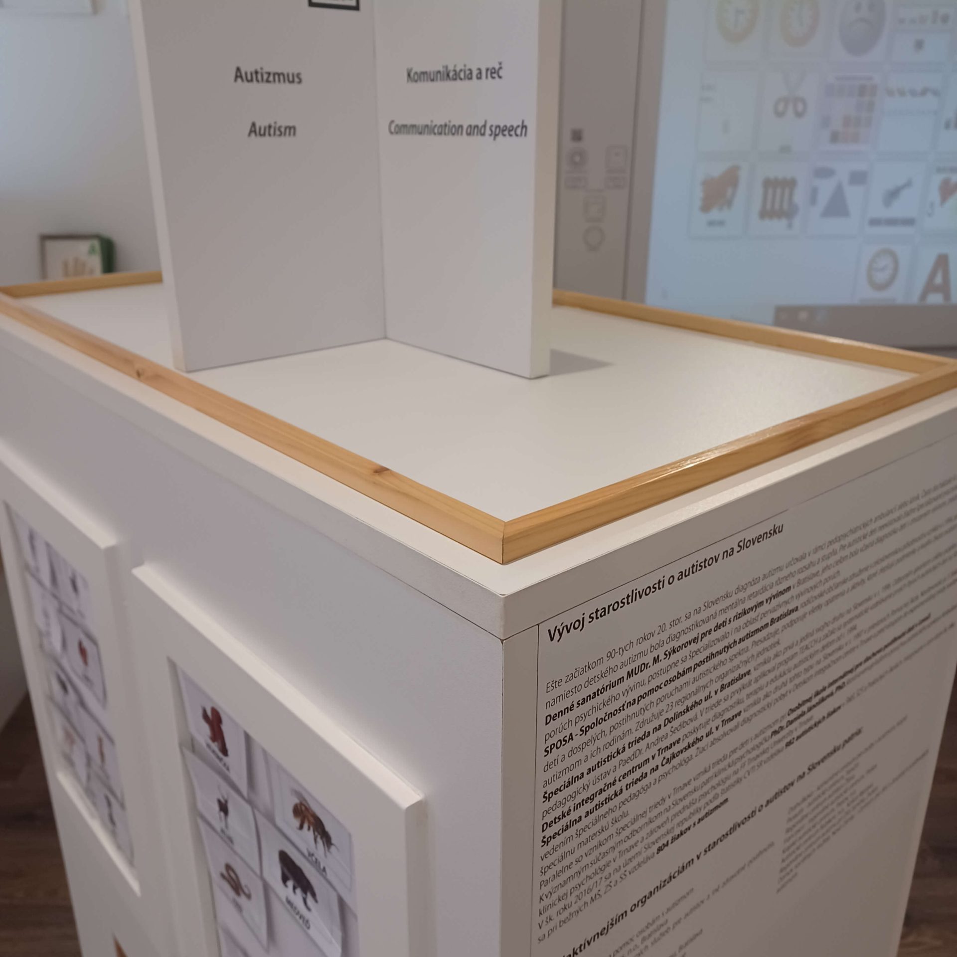 Časť expozície v Múzeu špeciálneho školstva v Levoči venovaná autizmu.