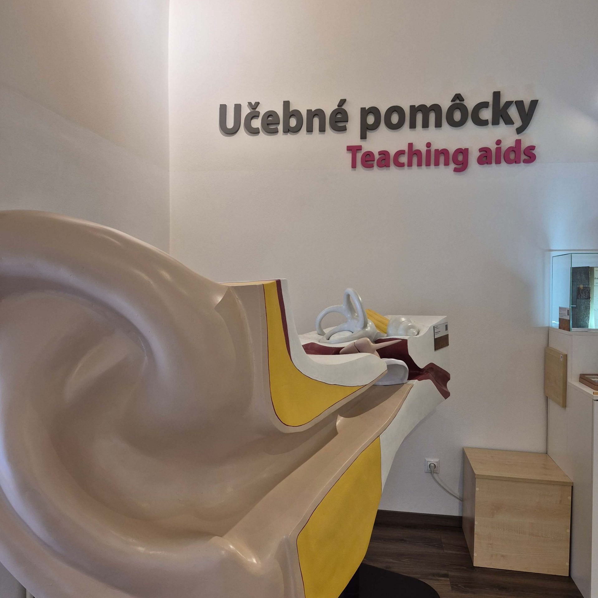Múzeum špeciálneho školstva, miestnosť venovaná učebným pomôckam.