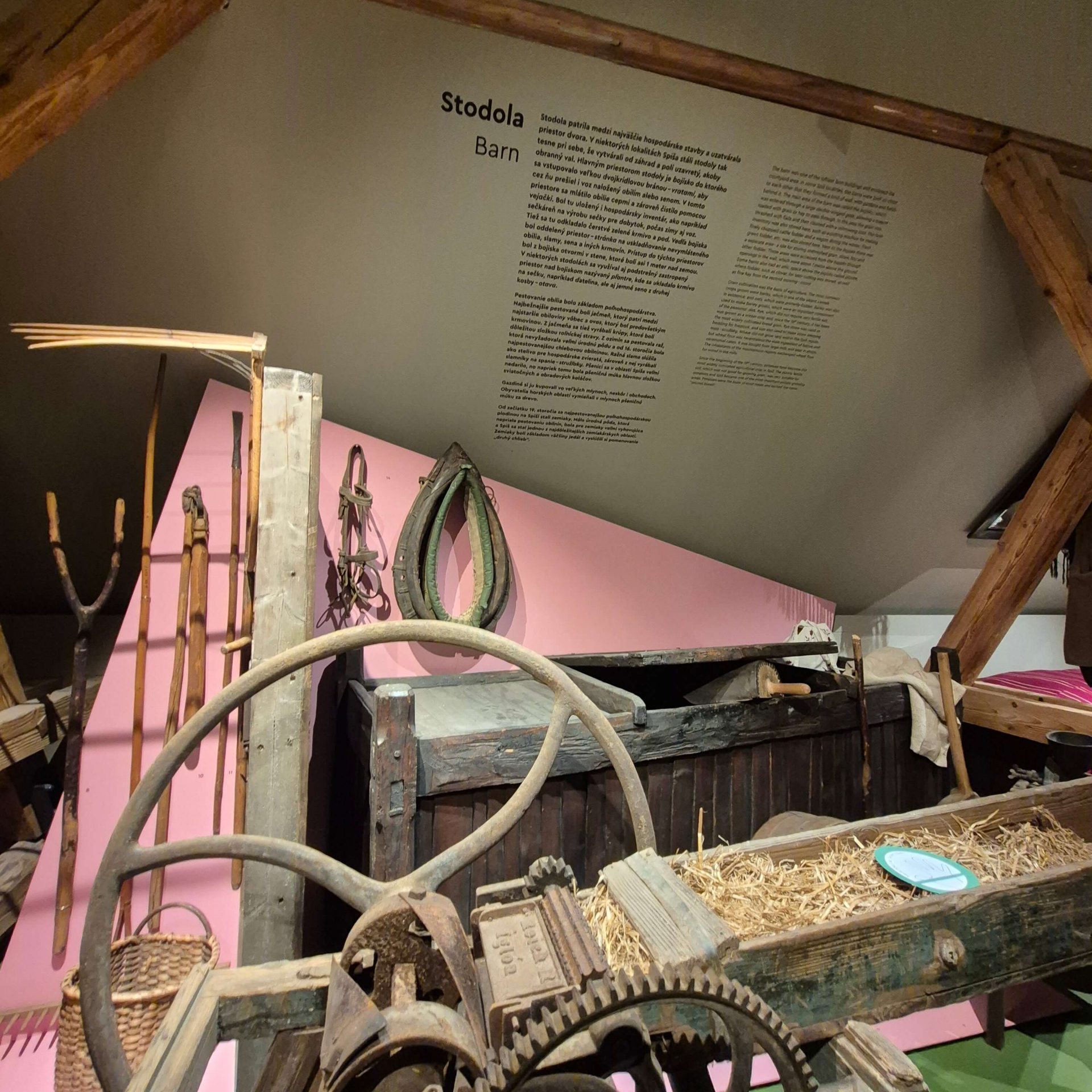 Festival múzeí 2025