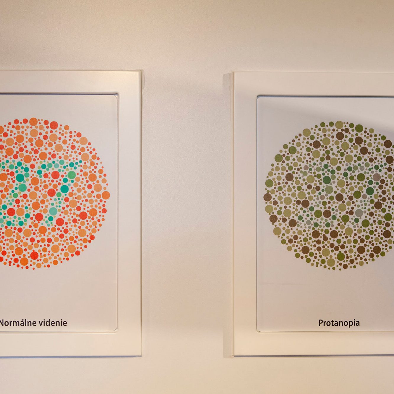 Informácie a test k protanopii v Múzeu špeciálneho školstva v Levoči.