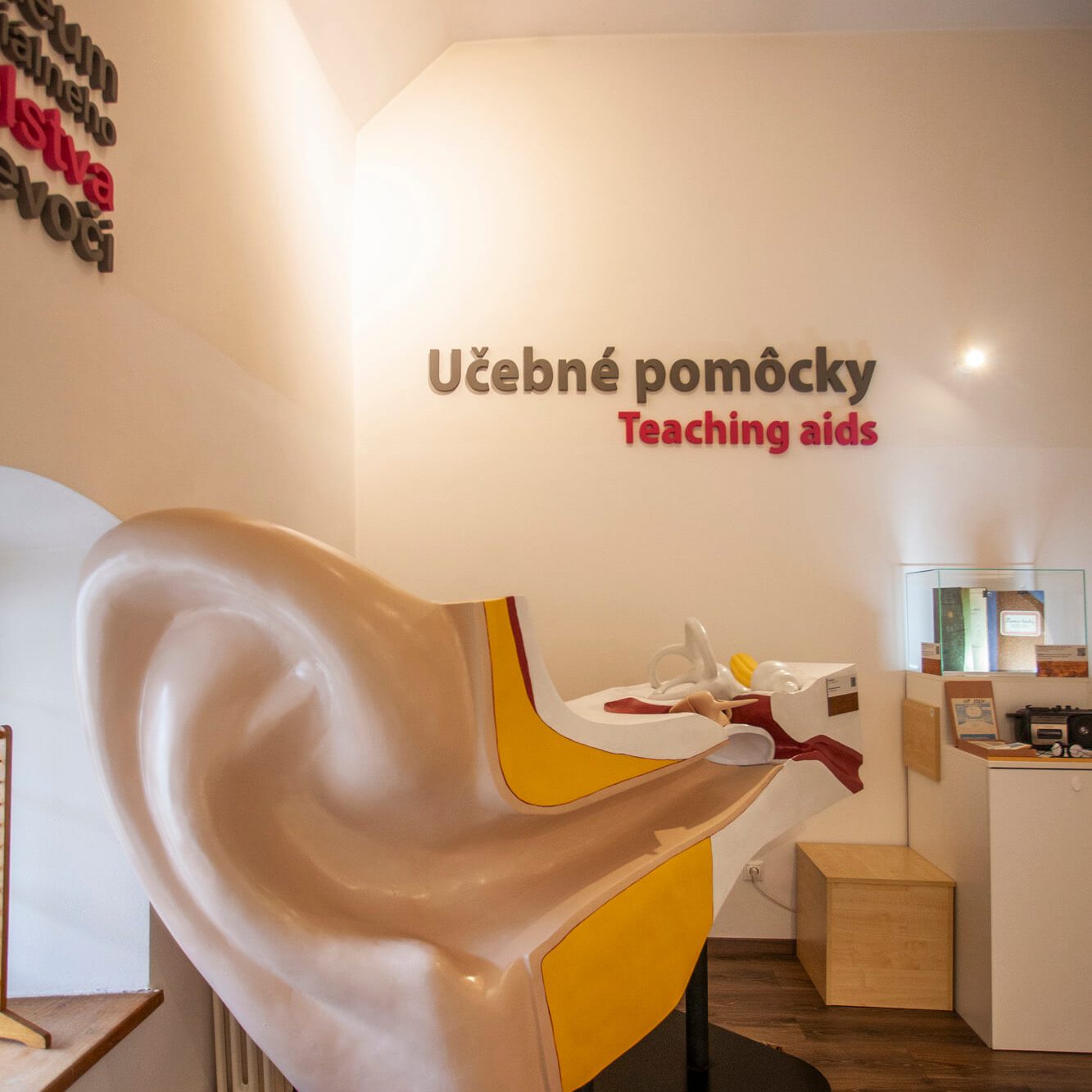 Model ľudského ucha v Múzeu špeciálneho školstva v Levoči.