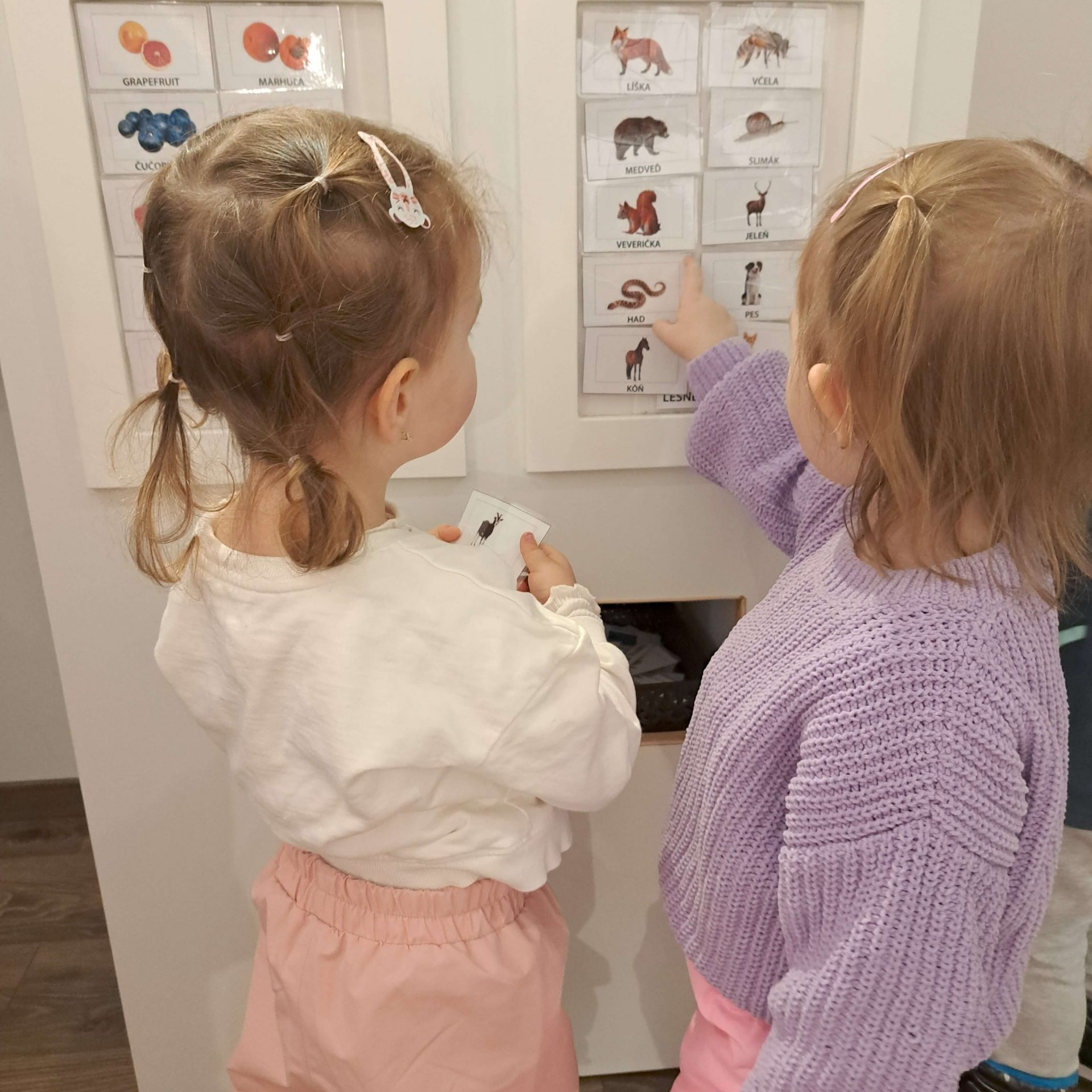 Práca s komunikačnými kartami.